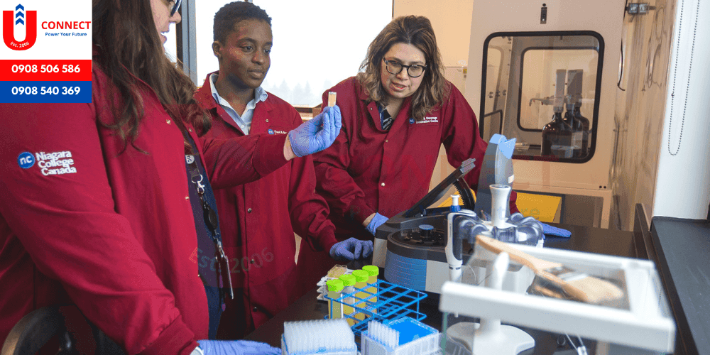 Cao đẳng Niagara, bang Ontario, Canada